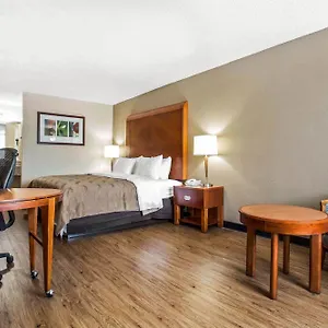 Hotel Quality & Area